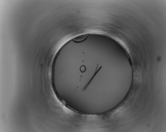 X0000089351007200706221134