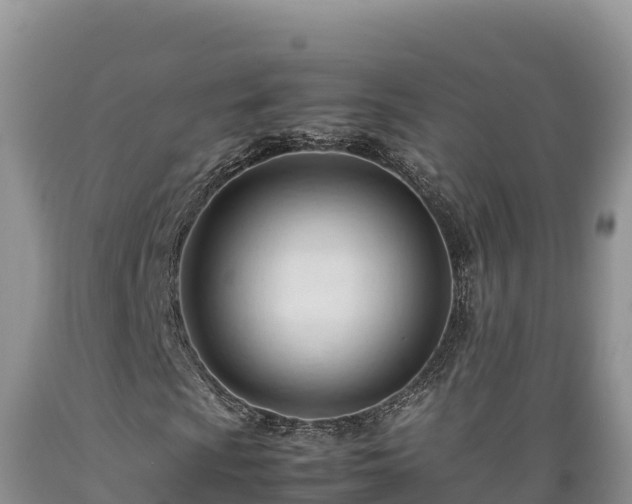 X0000089351009200706221133