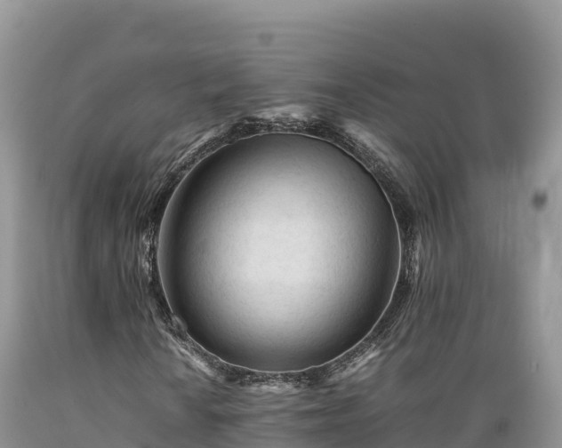 X0000089351010200706221133