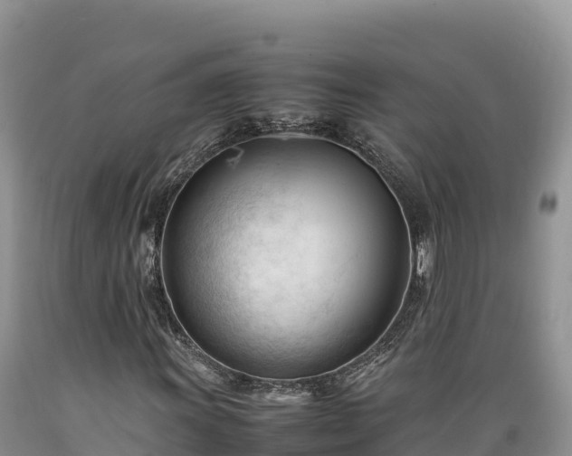 X0000089351011200706221133
