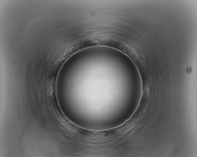 X0000089351012200706221133