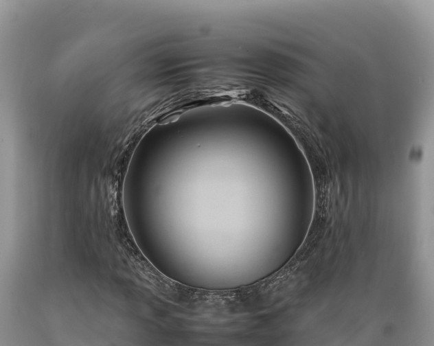 X0000089351013200706221133