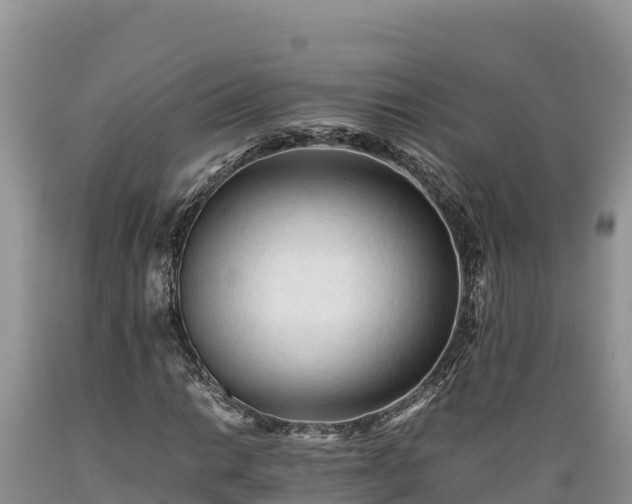 X0000089351014200706221133