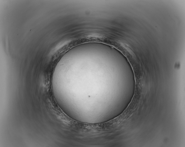 X0000089351015200706221133