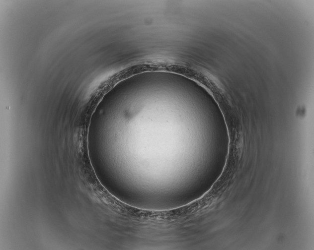 X0000089351016200706221133