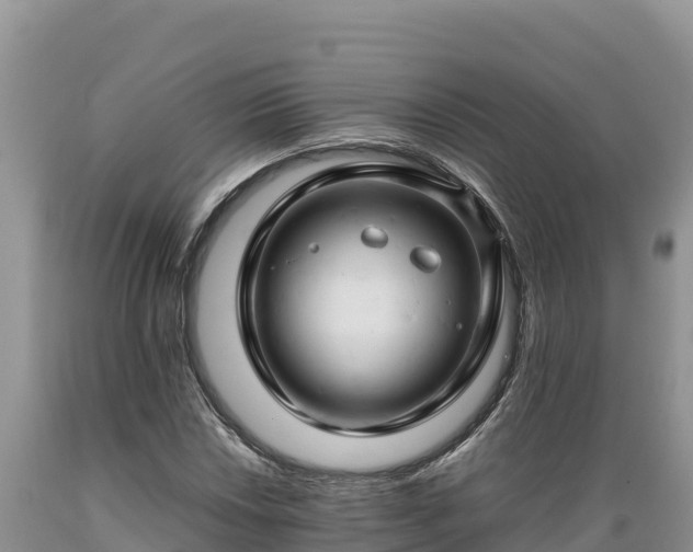 X0000089351018200706221133