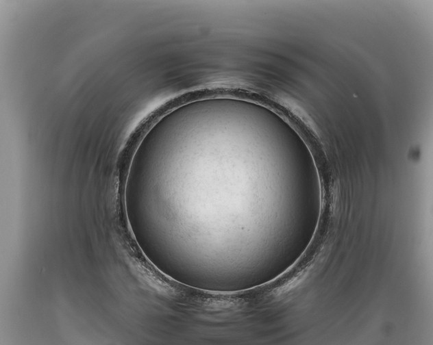 X0000089351021200706221134