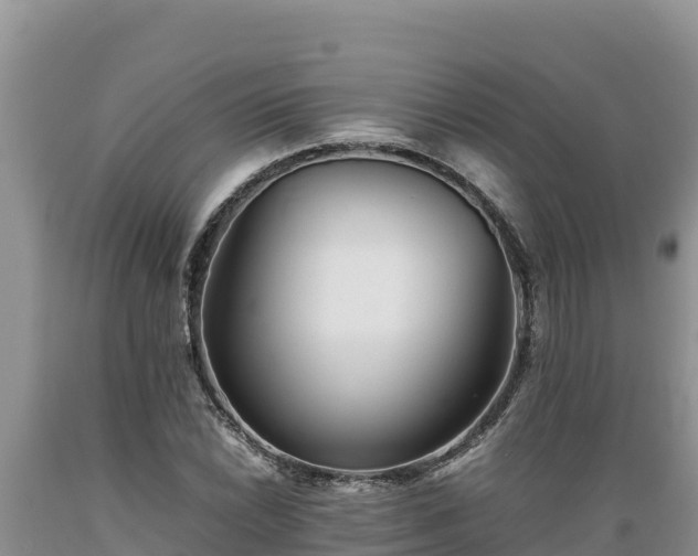 X0000089351022200706221134