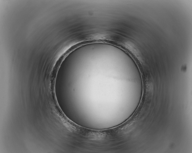 X0000089351023200706221134