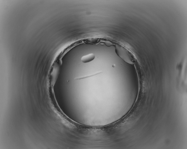 X0000089351024200706221134