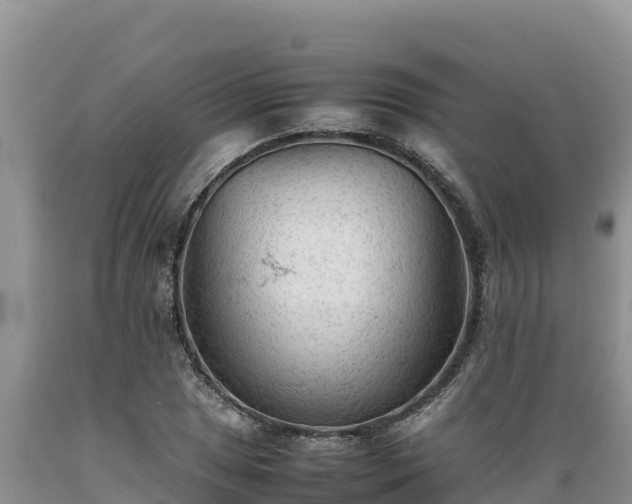 X0000089351025200706221134