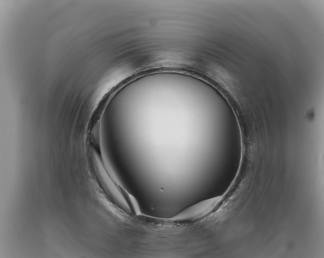 X0000089351026200706221134