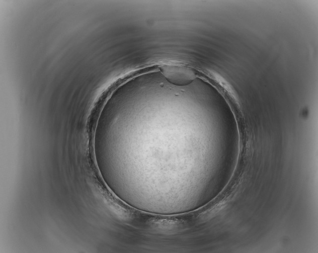 X0000089351027200706221134