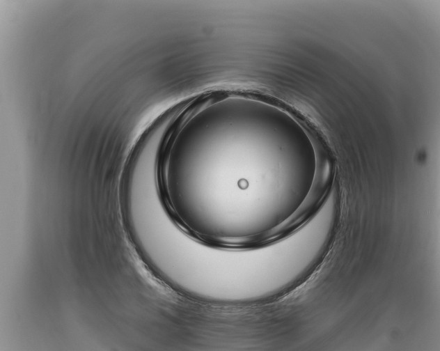 X0000089351030200706221134