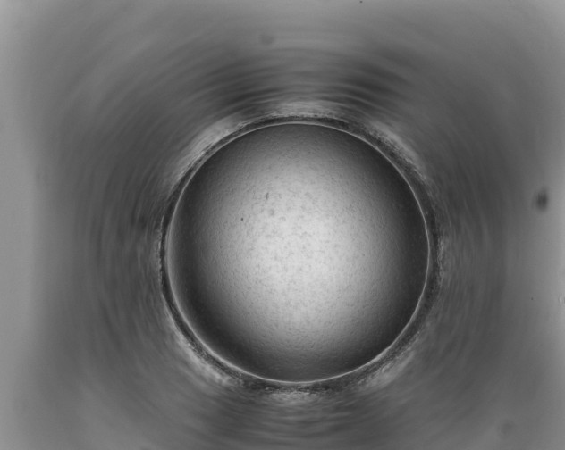 X0000089351033200706221134