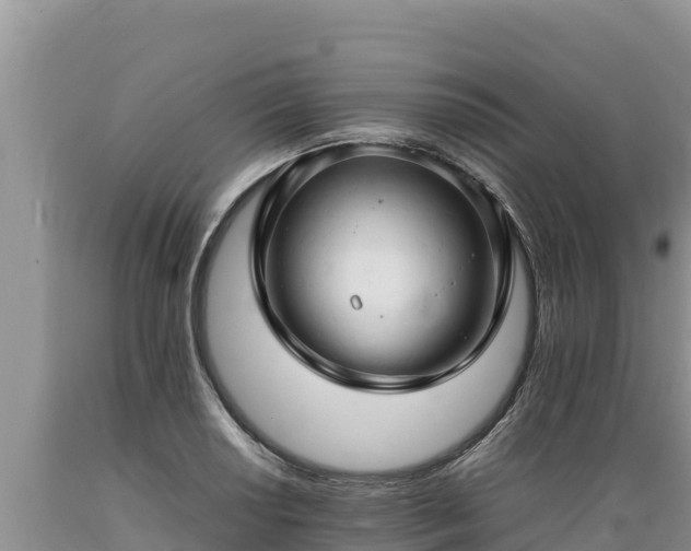 X0000089351034200706221134