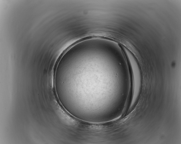 X0000089351036200706221134