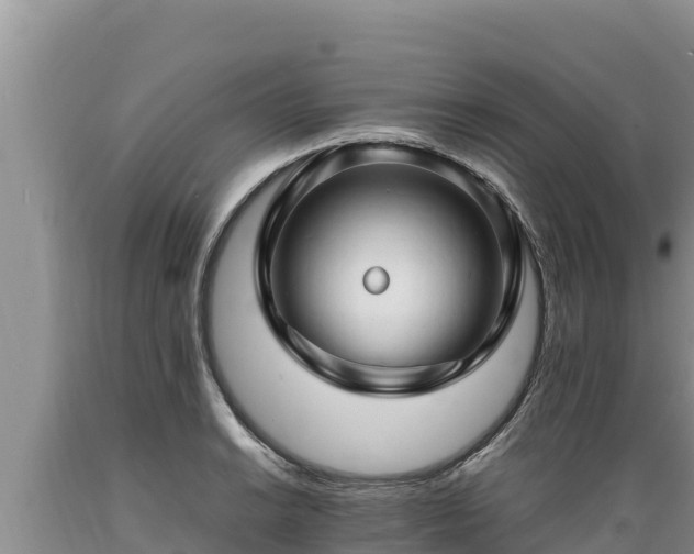 X0000089351038200706221134