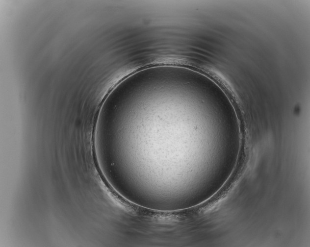 X0000089351041200706221134