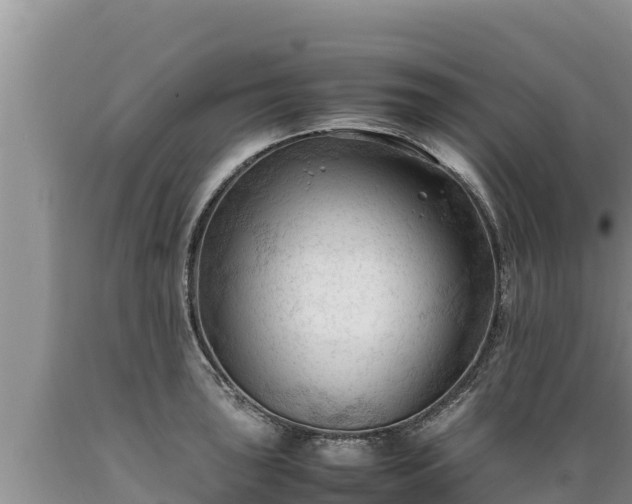 X0000089351043200706221134