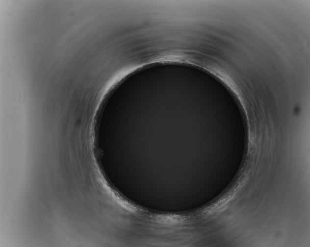 X0000089351045200706221134