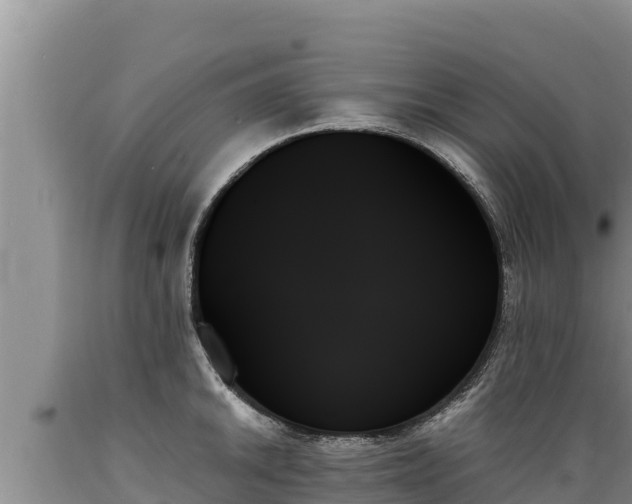 X0000089351046200706221134