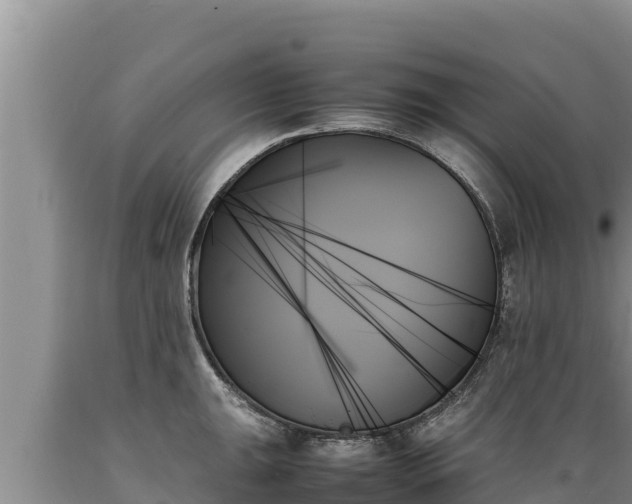 X0000089351047200706221134