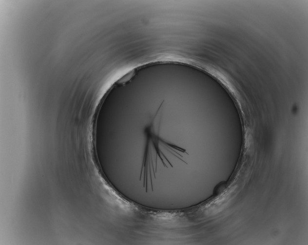 X0000089351048200706221134