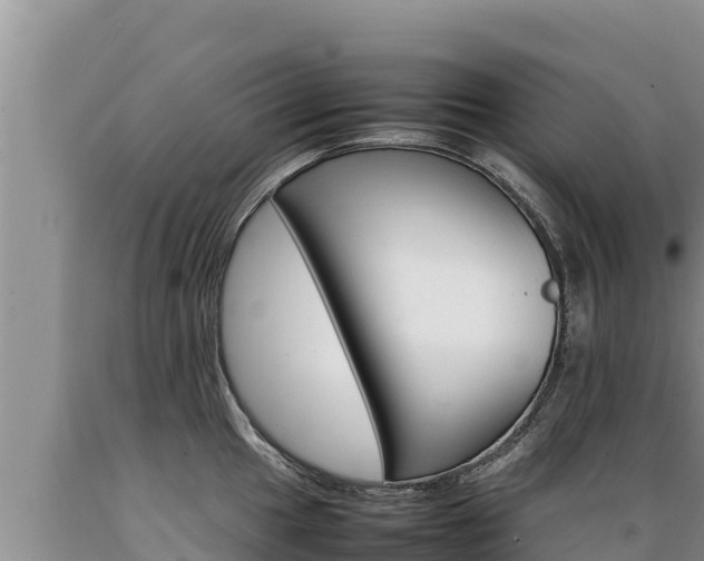 X0000089351049200706221134