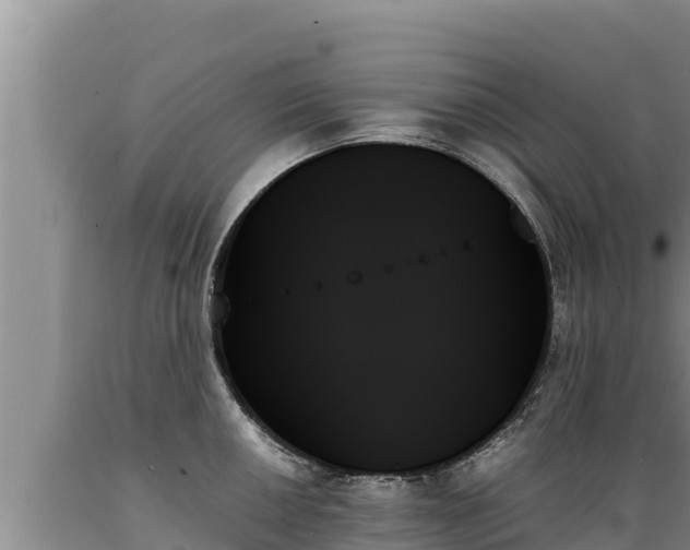 X0000089351050200706221134