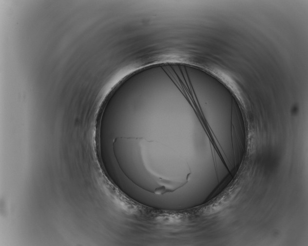 X0000089351051200706221134
