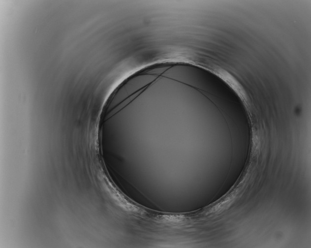 X0000089351052200706221134
