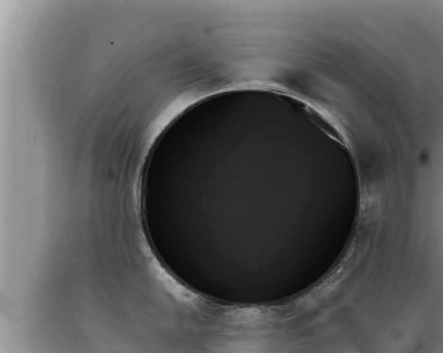 X0000089351054200706221134