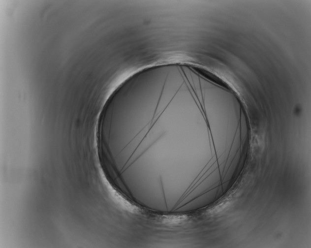 X0000089351055200706221134