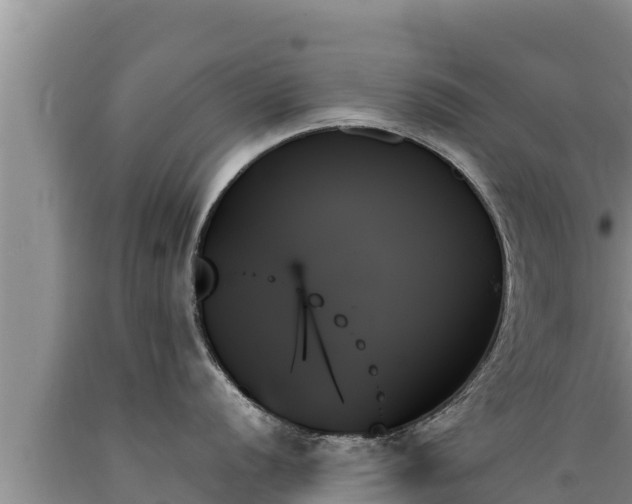 X0000089351056200706221134