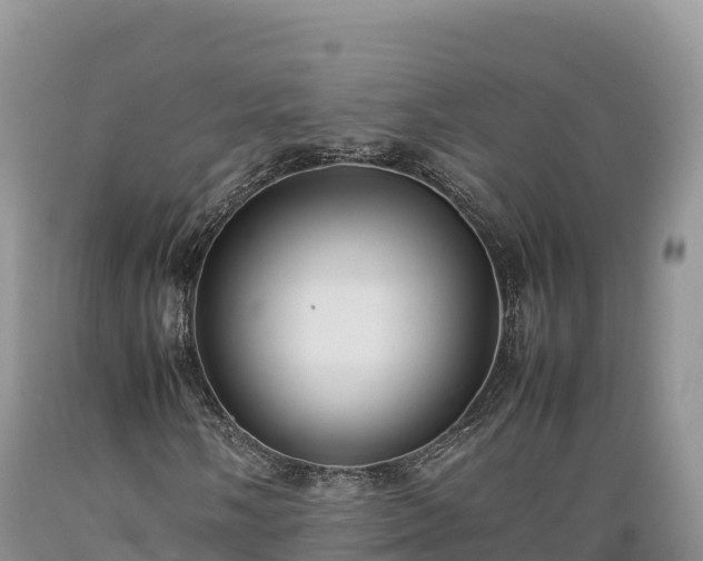X0000089351058200706221133