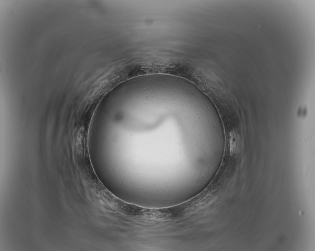 X0000089351059200706221133