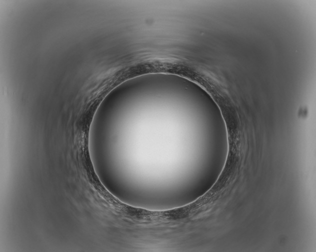 X0000089351061200706221133