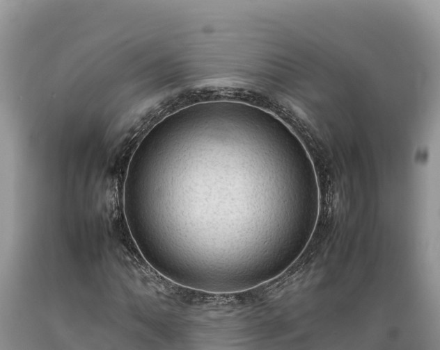 X0000089351062200706221133