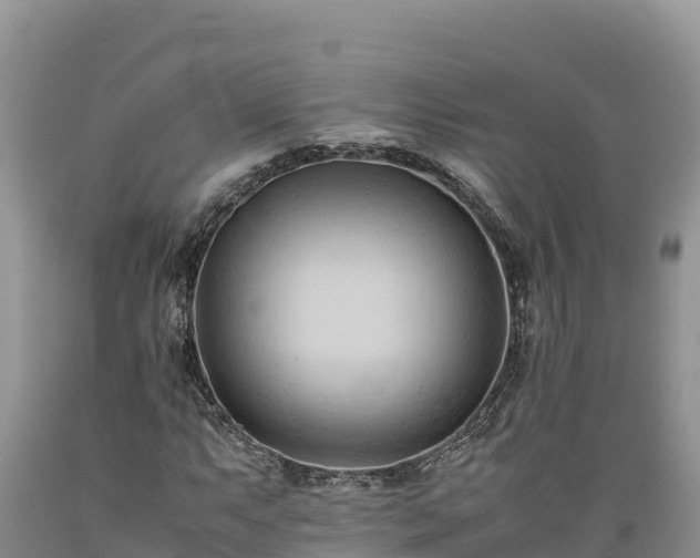 X0000089351063200706221133