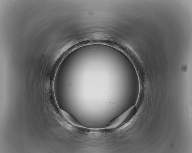 X0000089351065200706221133