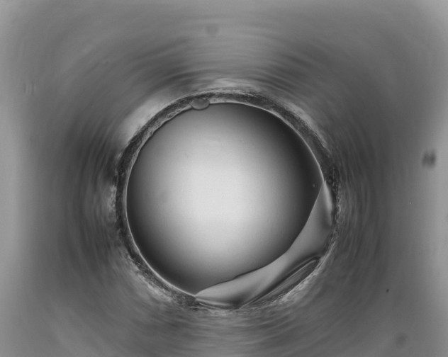 X0000089351066200706221133