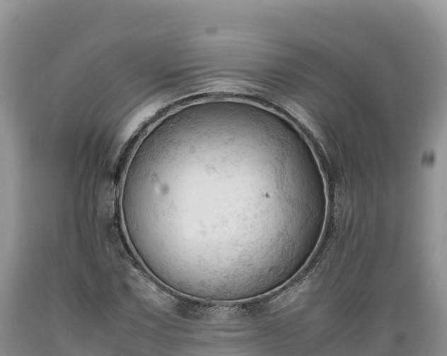 X0000089351067200706221133