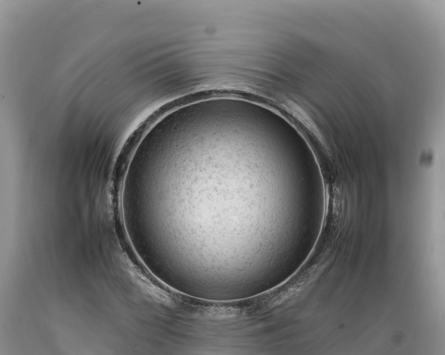 X0000089351068200706221133