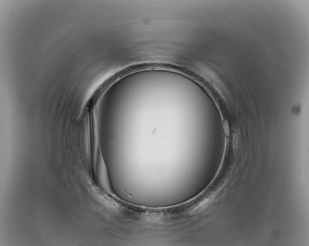 X0000089351069200706221133