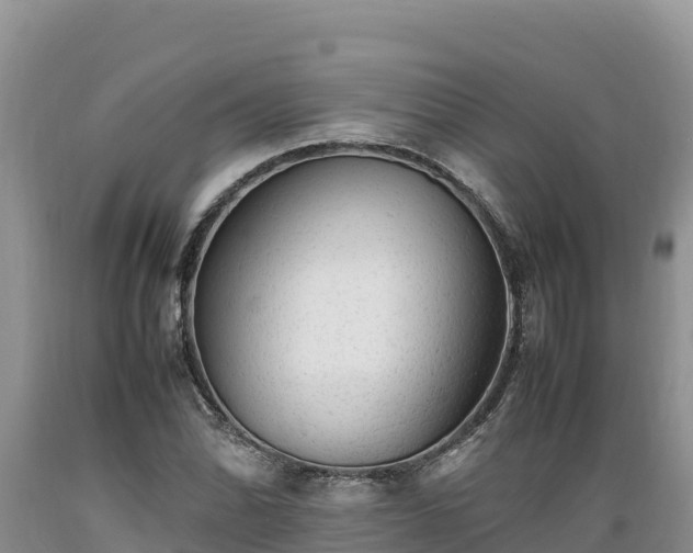 X0000089351070200706221133