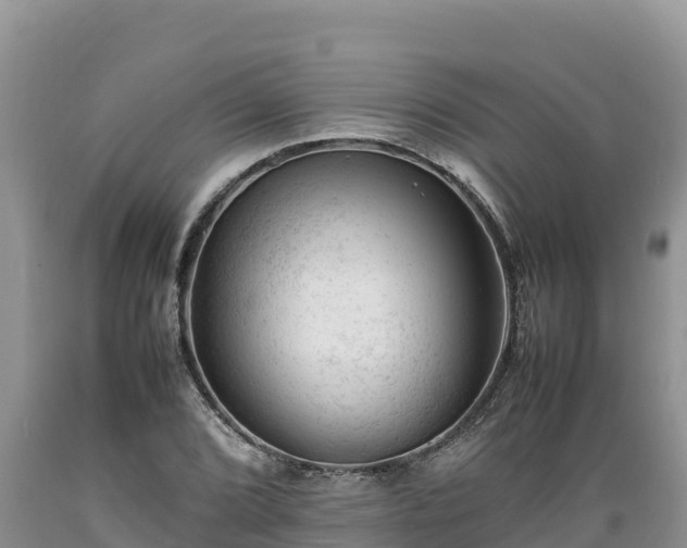X0000089351072200706221133