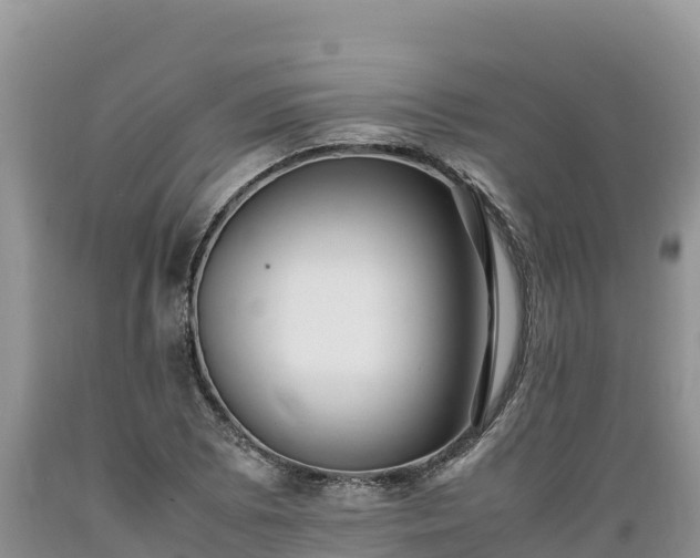 X0000089351073200706221133