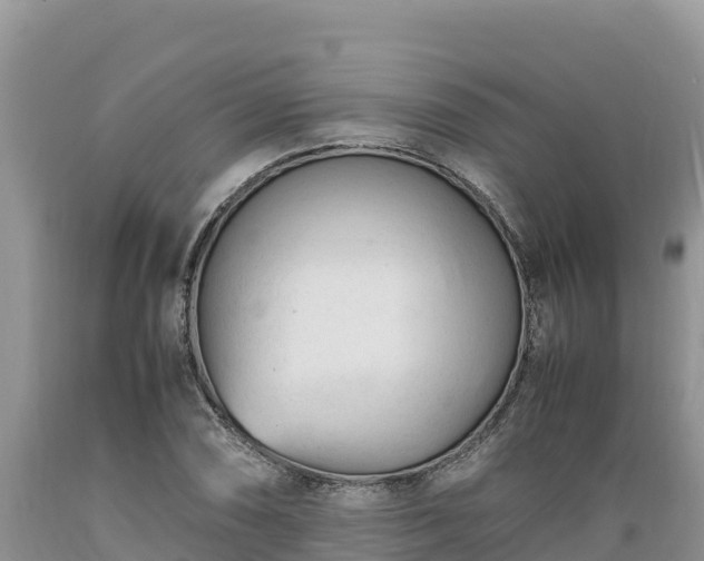 X0000089351074200706221133