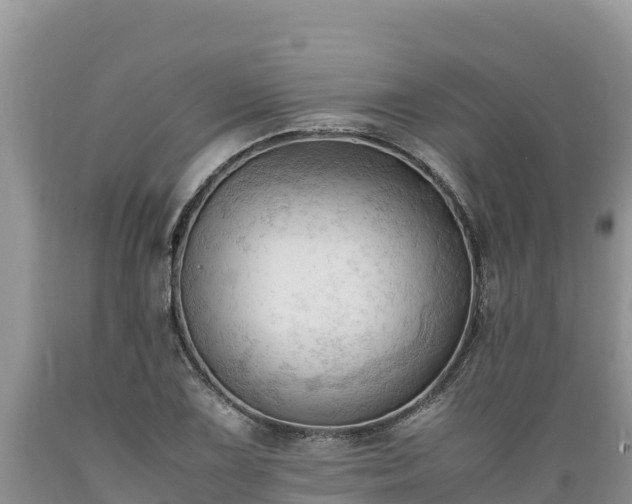 X0000089351075200706221133